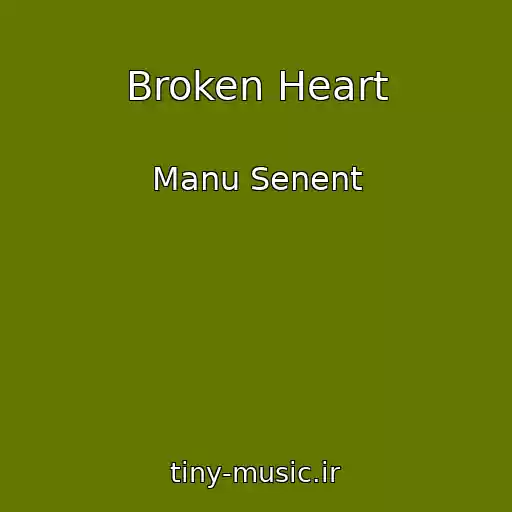 کاور آهنگ Broken Heart از Manu Senent