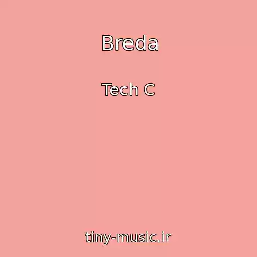 کاور آهنگ Breda از Tech C
