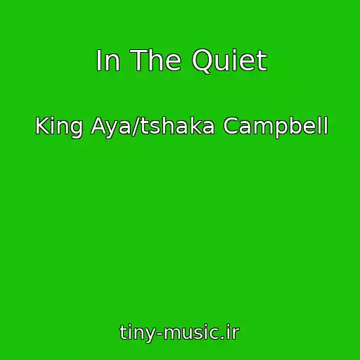 کاور آهنگ In The Quiet از King Aya/tshaka Campbell