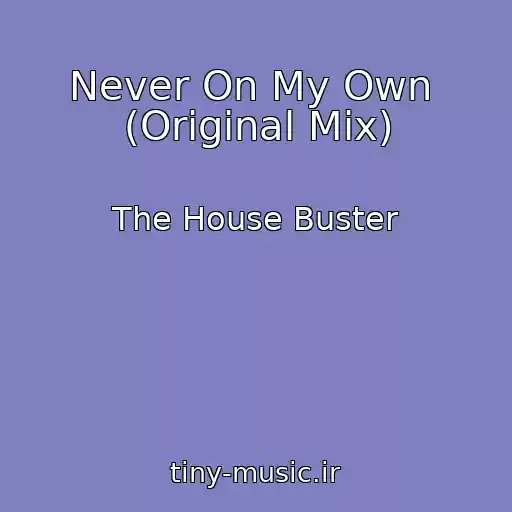 کاور آهنگ Never On My Own  (Original Mix) از The House Buster