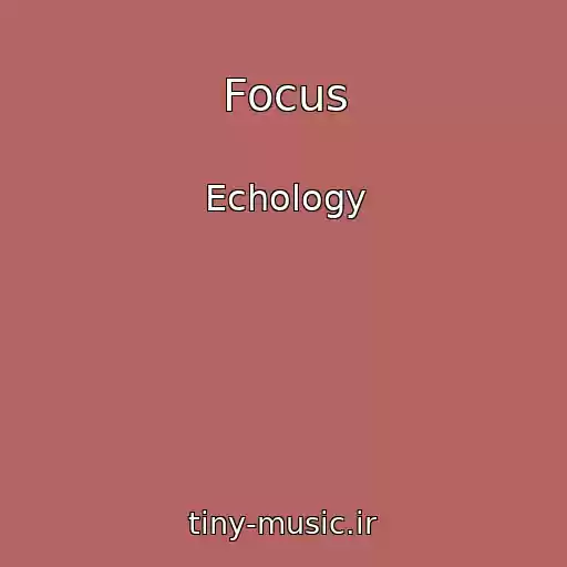 کاور آهنگ Focus از Echology