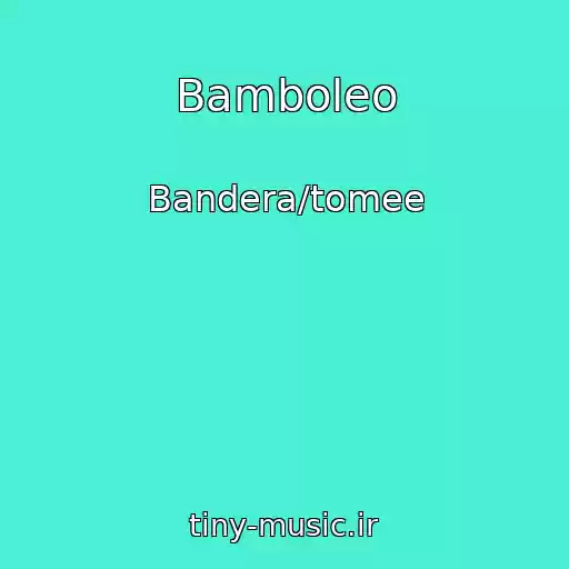 کاور آهنگ Bamboleo از Bandera/tomee
