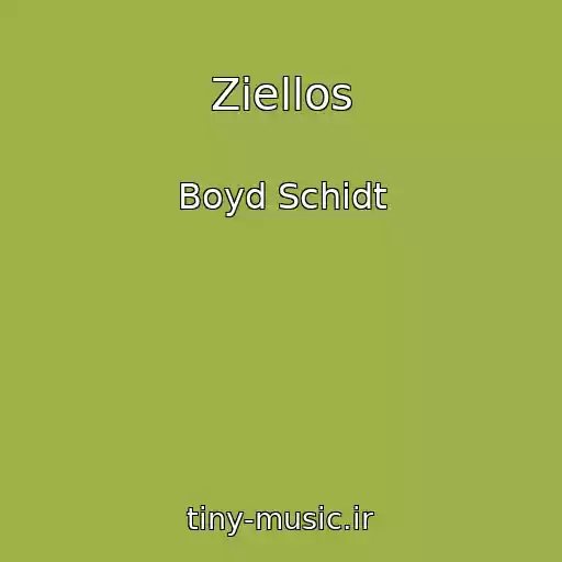 کاور آهنگ Ziellos از Boyd Schidt