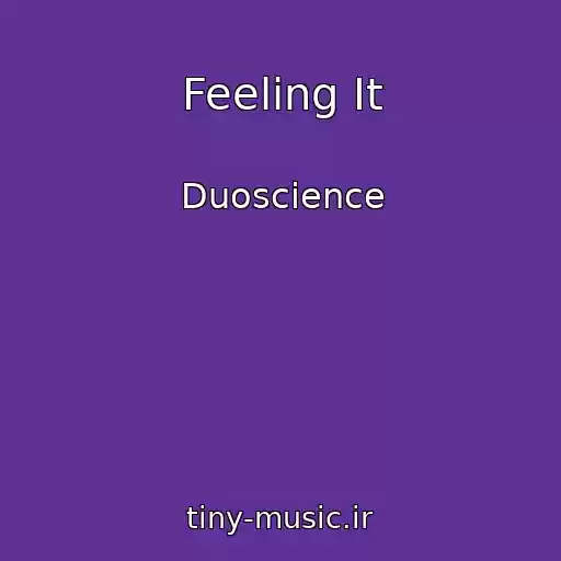 کاور آهنگ Feeling It از Duoscience