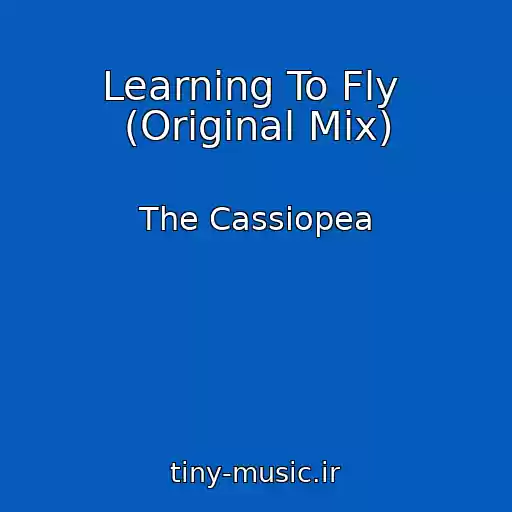 کاور آهنگ Learning To Fly  (Original Mix) از The Cassiopea