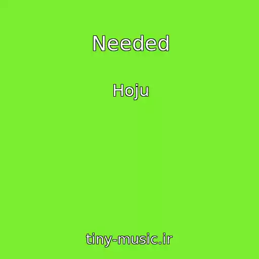 کاور آهنگ Needed از Hoju