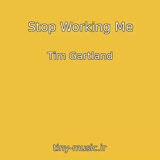 کاور آهنگ Stop Working Me از Tim Gartland