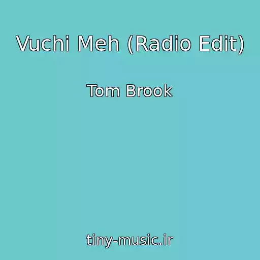 کاور آهنگ Vuchi Meh (Radio Edit) از Tom Brook