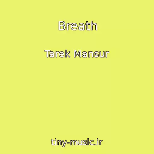 کاور آهنگ Breath از Tarek Mansur