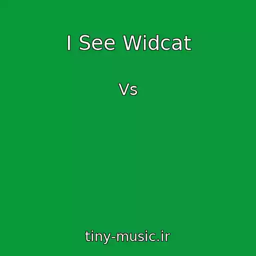 کاور آهنگ I See Widcat از Vs