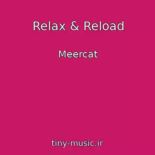 کاور آهنگ Relax & Reload از Meercat