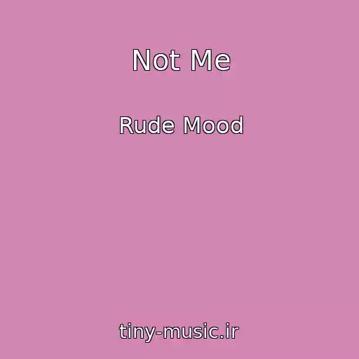 کاور آهنگ Not Me از Rude Mood