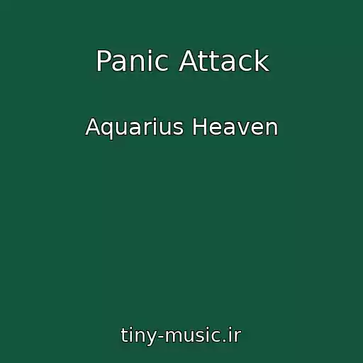 کاور آهنگ Panic Attack از Aquarius Heaven