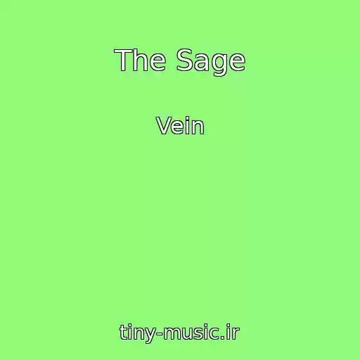 کاور آهنگ The Sage از Vein