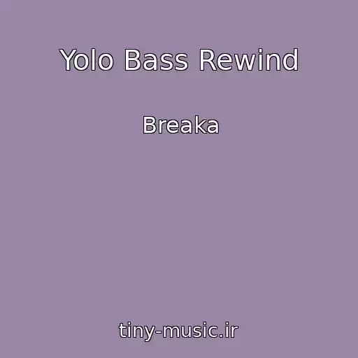کاور آهنگ Yolo Bass Rewind از Breaka