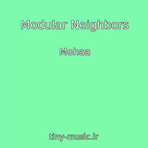 کاور آهنگ Modular Neighbors از Mohaa