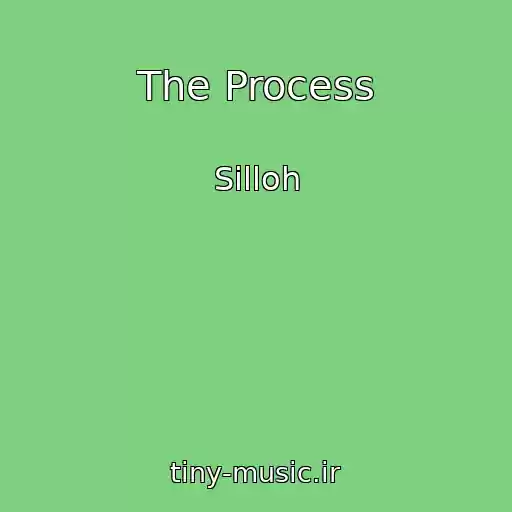 کاور آهنگ The Process از Silloh