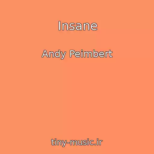 کاور آهنگ Insane از Andy Peimbert