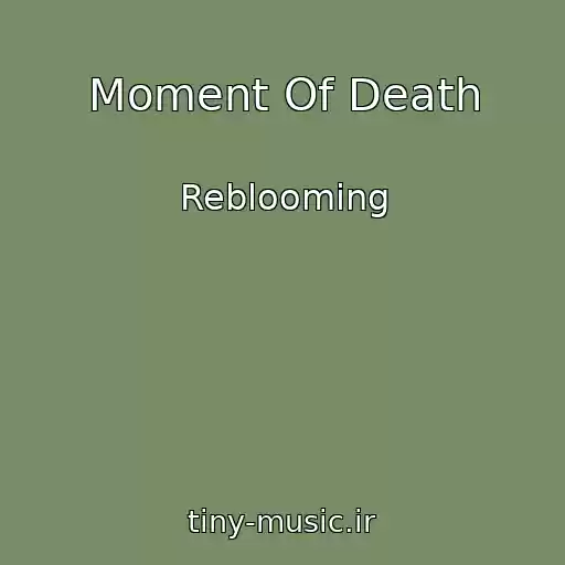 کاور آهنگ Moment Of Death از Reblooming