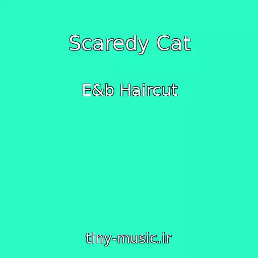 کاور آهنگ Scaredy Cat از E&b Haircut