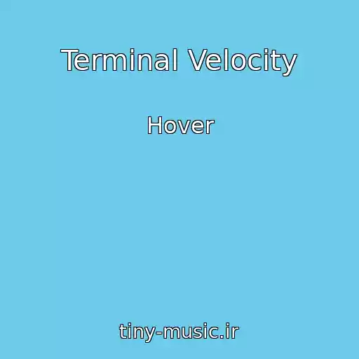 کاور آهنگ Terminal Velocity از Hover