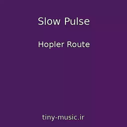 کاور آهنگ Slow Pulse از Hopler Route