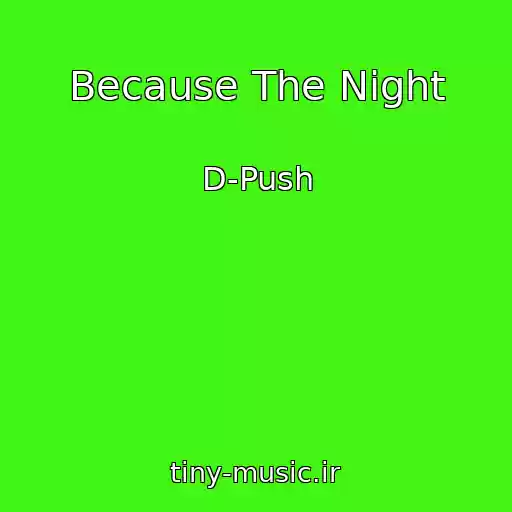کاور آهنگ Because The Night از D-Push