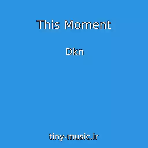 کاور آهنگ This Moment از Dkn