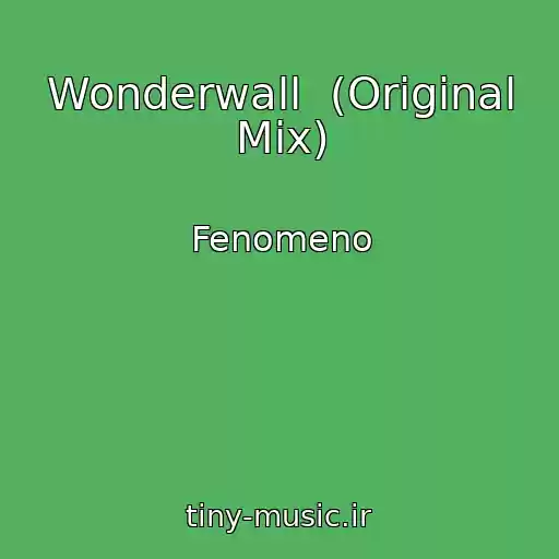 کاور آهنگ Wonderwall  (Original Mix) از Fenomeno