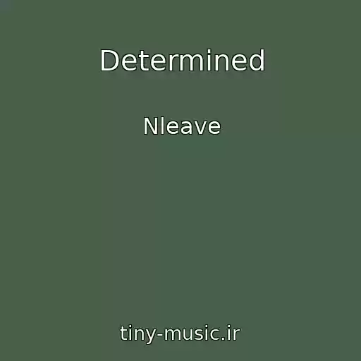 کاور آهنگ Determined از Nleave