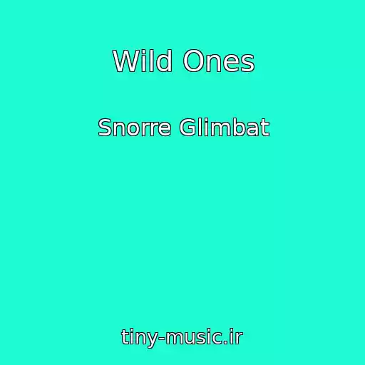 کاور آهنگ Wild Ones از Snorre Glimbat