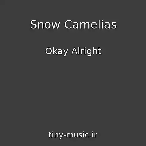 کاور آهنگ Snow Camelias از Okay Alright