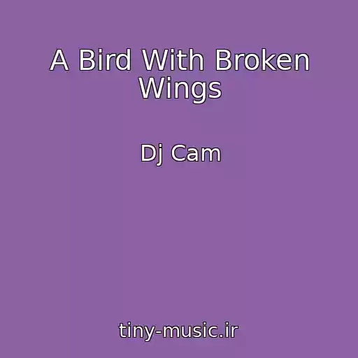 کاور آهنگ A Bird With Broken Wings از Dj Cam