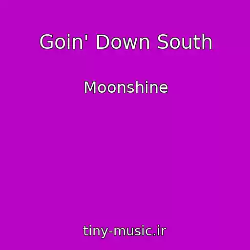 کاور آهنگ Goin' Down South از Moonshine