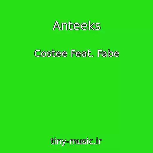 کاور آهنگ Anteeks از Costee Feat. Fabe