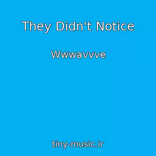 کاور آهنگ They Didn't Notice از Wwwavvve