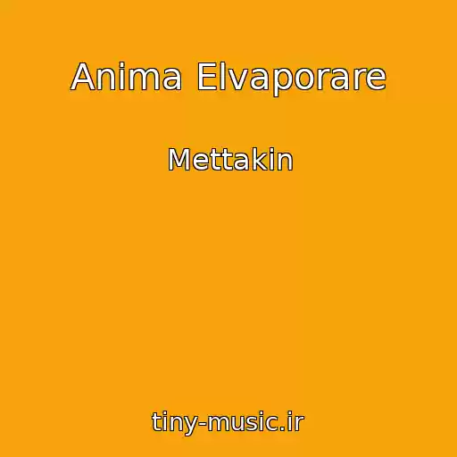 کاور آهنگ Anima Elvaporare از Mettakin