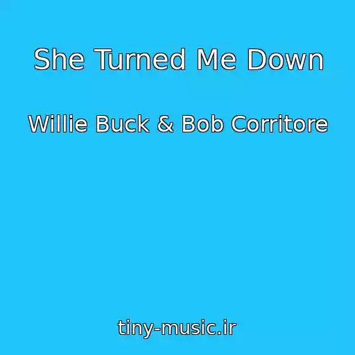 کاور آهنگ She Turned Me Down از Willie Buck & Bob Corritore