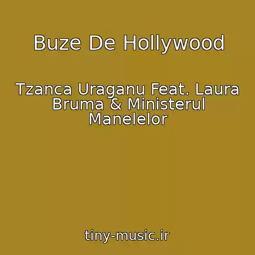 کاور آهنگ Buze De Hollywood از Tzanca Uraganu Feat. Laura Bruma & Ministerul Manelelor
