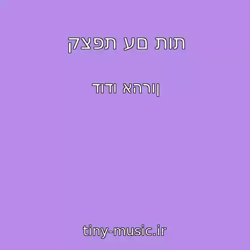 کاور آهنگ קצפת עם תות از דודו אהרון