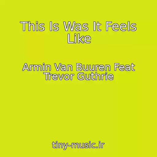 کاور آهنگ This Is Was It Feels Like از Armin Van Buuren Feat Trevor Guthrie