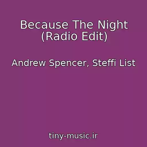 کاور آهنگ Because The Night (Radio Edit) از Andrew Spencer, Steffi List