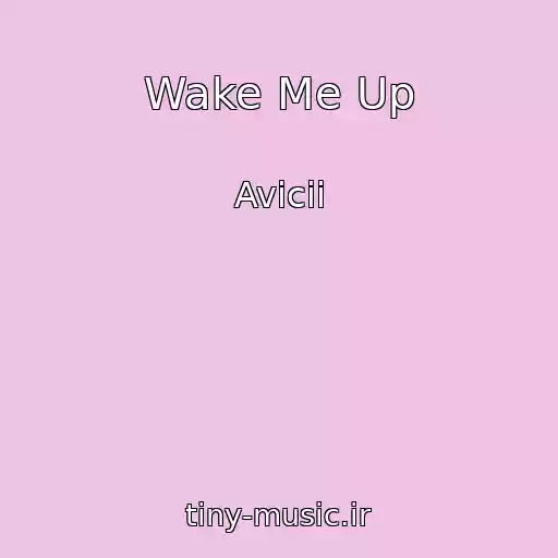 کاور آهنگ Wake Me Up از Avicii
