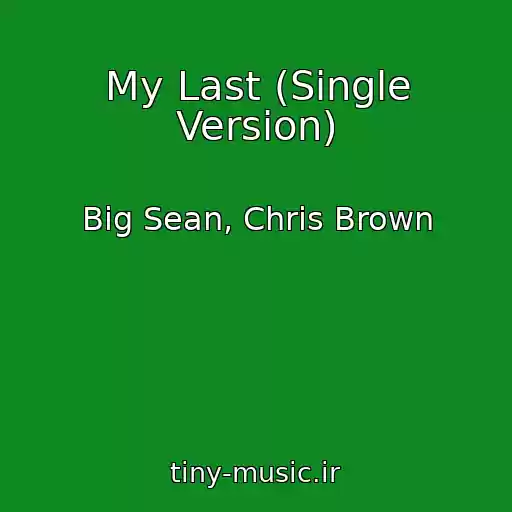کاور آهنگ My Last (Single Version) از Big Sean, Chris Brown