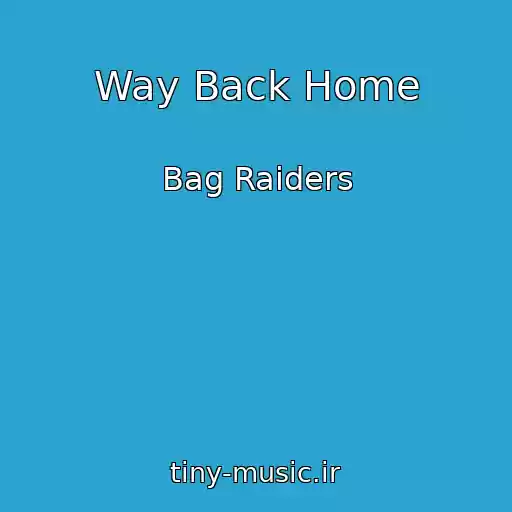 کاور آهنگ Way Back Home از Bag Raiders