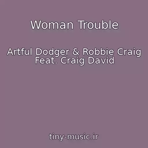 کاور آهنگ Woman Trouble از Artful Dodger & Robbie Craig Feat. Craig David