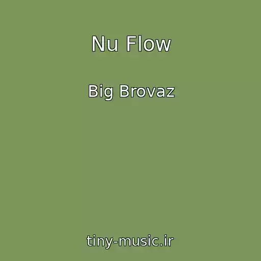 کاور آهنگ Nu Flow از Big Brovaz