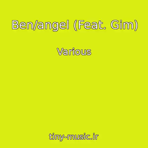 کاور آهنگ Ben/angel (Feat. Gim) از Various