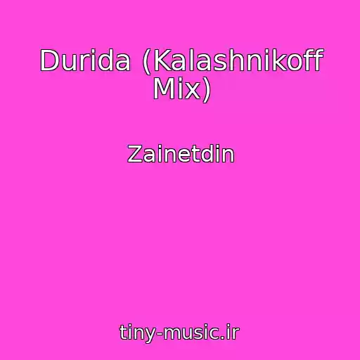 کاور آهنگ Durida (Kalashnikoff Mix) از Zainetdin
