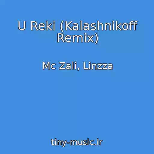 کاور آهنگ U Reki (Kalashnikoff Remix) از Mc Zali, Linzza